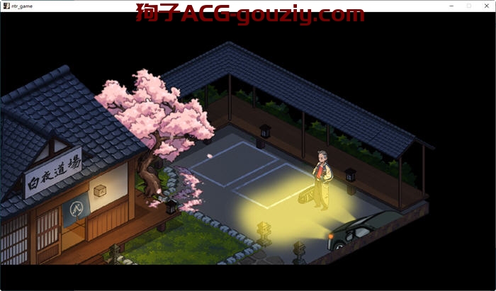 护身术道场ver1.9.8 STEAM官方中文版+DLC RPG游戏1G