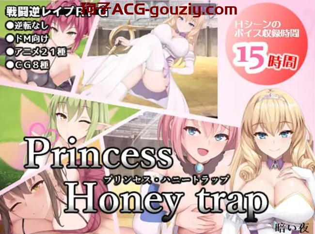 公主的桃色陷井ver3.01 AI汉化版战斗RPG游戏1.8G
